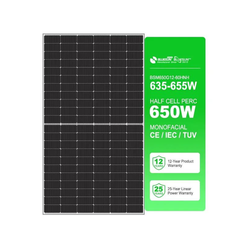 Solar Panel - Panel solar tipo N de Bluesun,