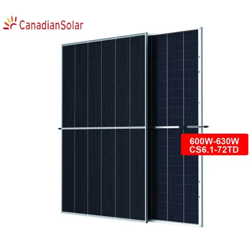 Panel solar bifacial de silici - Solar Panel reseña y precio